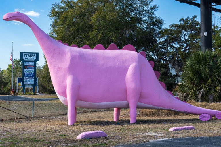Spring Hill, Florida Florida Vacations, Travel & Tourism Guide