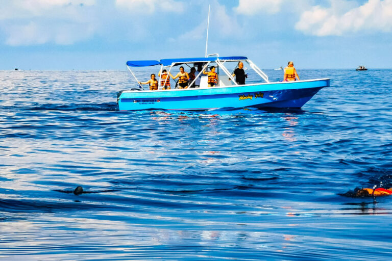 Snorkeling Tours Florida Vacations, Travel & Tourism