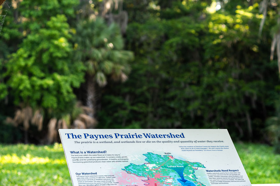 Paynes Prairie Preserve