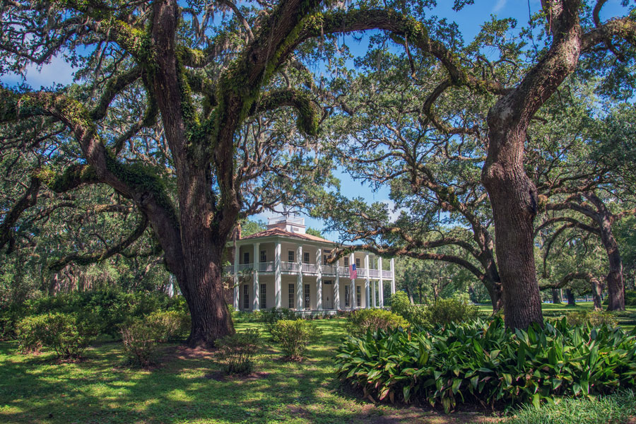 Historic Wesley House at Eden Gardens State Park in Santa Rosa Beach, Florida, framed by towering live oak trees draped in Spanish moss. The restored mansion and surrounding gardens highlight the park’s blend of cultural history and natural beauty along the Emerald Coast. File photo: licensed.