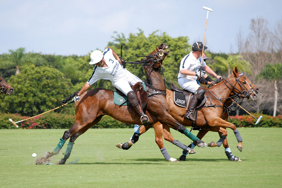 Polo match in progress in Wellington, Florida, showcasing the fast-paced competition and equestrian skill that define the former International Polo Club Palm Beach, now the National Polo Center. Matches like these are a highlight of the winter polo season and a major draw for visitors.