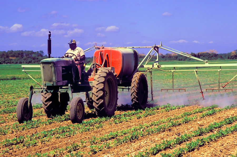 Farmer spraying crops in Ruskin, Florida, reflecting the area’s long-standing agricultural roots and its history as a major center for tomato and vegetable farming. Photographed July 5, 2024.