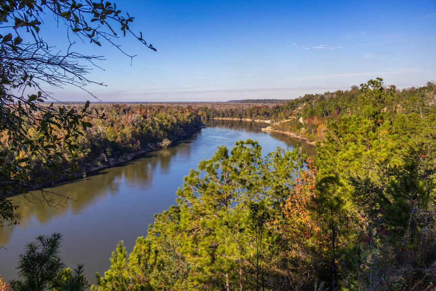 View of the Apalachicola River from Alum Bluff Overlook along the Garden of Eden Trail, showcasing forested bluffs and scenic river bends near Bristol, Florida.