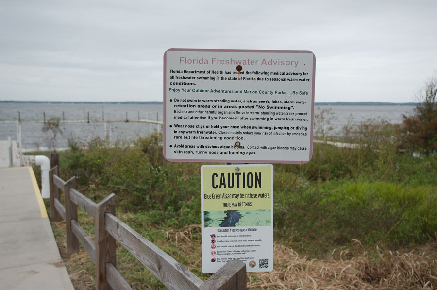 Florida freshwater advisory signs warning of potential water quality risks, including blue-green algae and unsafe swimming conditions. Posted notices like these are an important reminder to check advisories and avoid entering water when health risks are present.