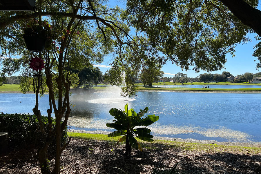 Lake Mary is known for its beautifully maintained neighborhoods, many of which feature scenic lakes, fountains, and lush landscaping that contribute to the city's inviting atmosphere. Waterfront views like this are common throughout the community, providing residents with peaceful surroundings and opportunities to enjoy Florida's year-round outdoor lifestyle. The city's careful planning and abundance of green space have helped establish Lake Mary as one of Central Florida's most attractive and desirable places to live.