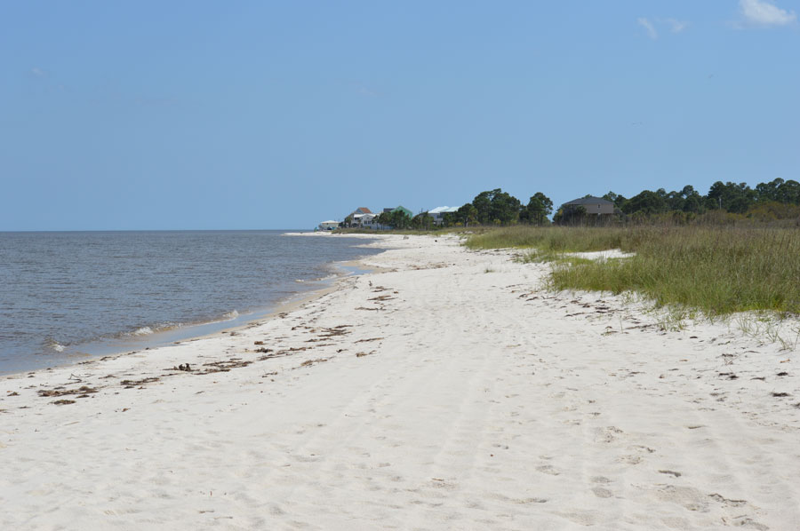 A quiet stretch of shoreline at Alligator Point along Florida’s Forgotten Coast, where white sand, coastal grasses and the waters of the Gulf create a largely undeveloped setting. Located in Franklin County, Alligator Point offers a more secluded coastal landscape than many of Florida’s larger beach destinations.